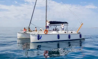 Catamarán Lady Hawke 12 pasajeros