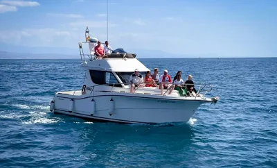 Barco Rodman 1040