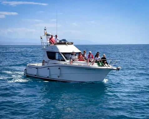 Barco Rodman 1040